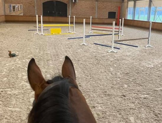 SvA Equestrian, Eindhoven