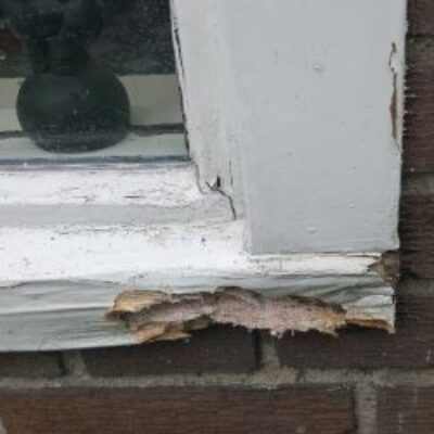 WOODD timmerwerken, Koog aan de Zaan